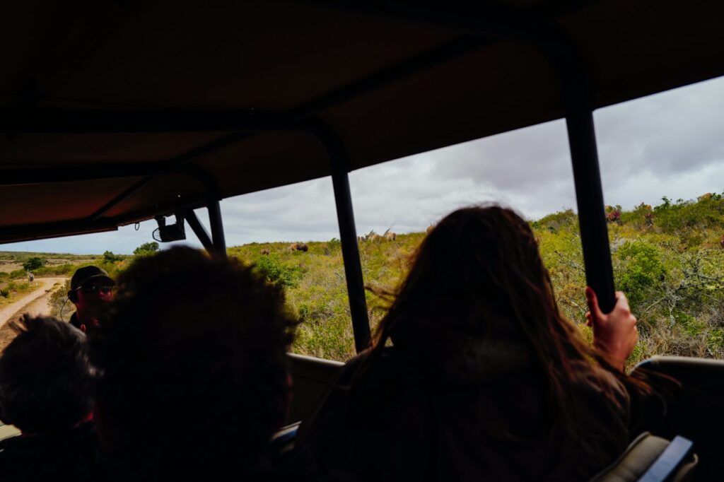 Safari Wildlife Expedition and Lodge Stay